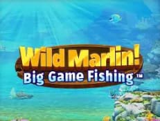 Wild Marlin Spin Casino